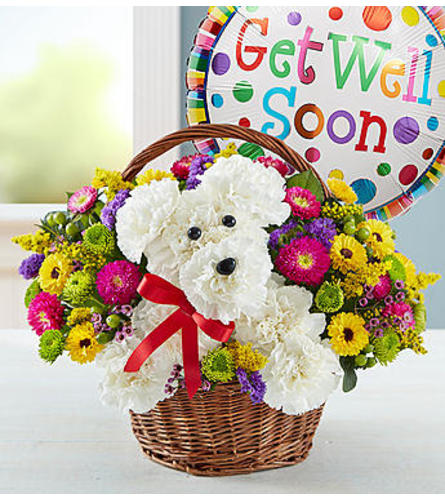 a-DOG-able® in a Basket - Get Well