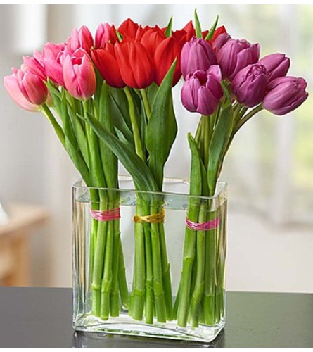 Modern Tulips for Your Valentine