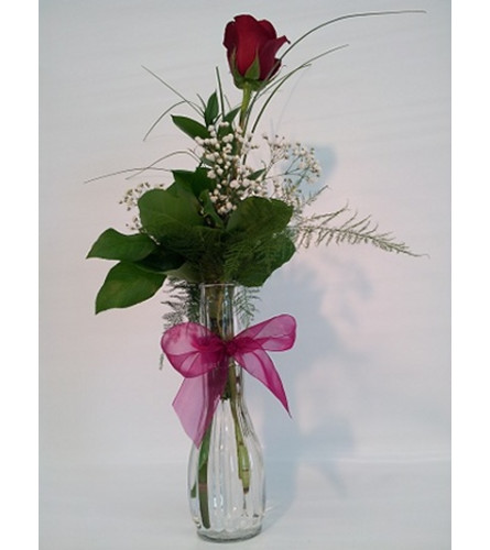 Red Rose Bud Vase