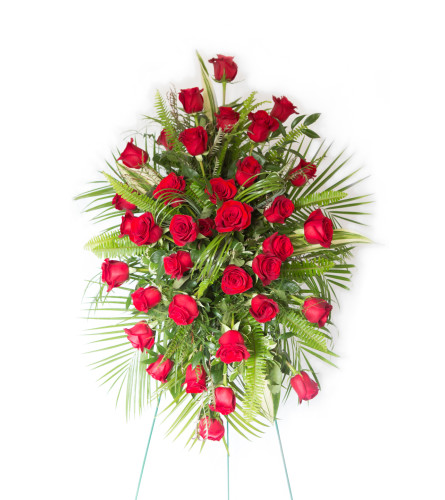 Classic Red Rose Tribute