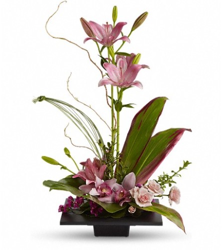 Imagination Blooms with Cymbidium Orchid