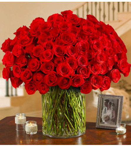 100 Red Roses. An arrangement by Sicola's Florist.