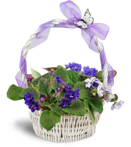 Vibrant Violets Garden Basket