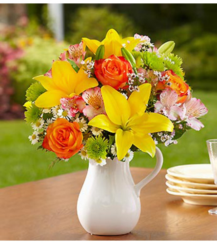 Fields of Europe™ in White Ceramic Pitcher