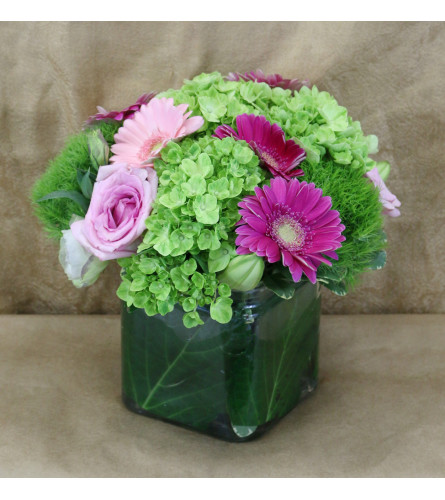 Admiration by Windsor Florist 