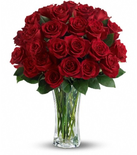 Love and Devotion - Long Stemmed Red Roses