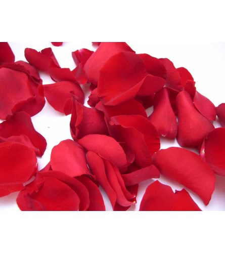 Red Rose Petals