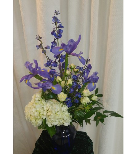 Cobalt Spring