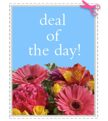 Deal of the Day - Send to Bradford, ON Today!