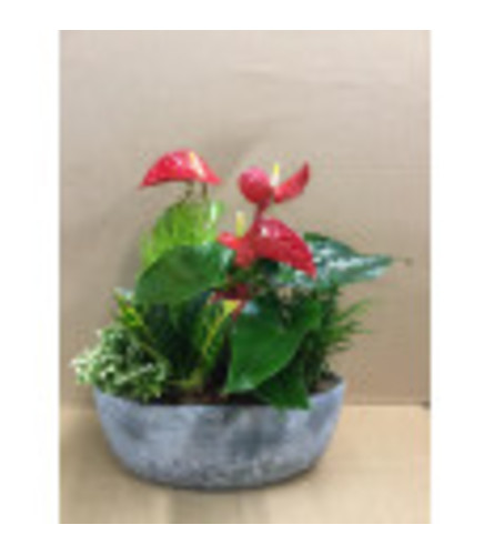 Christmas Stone Planter