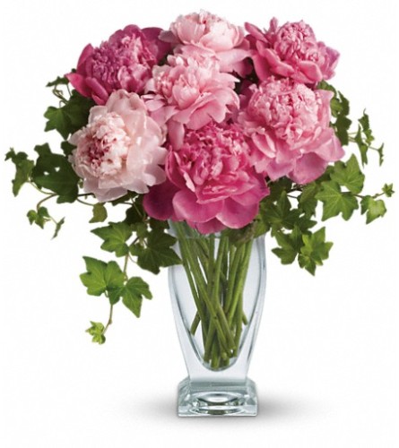 Teleflora's Perfect Peonies