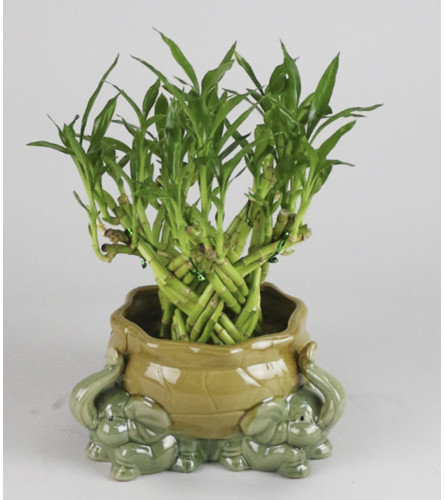 A & S Whitestone Artisan Bamboo Planter