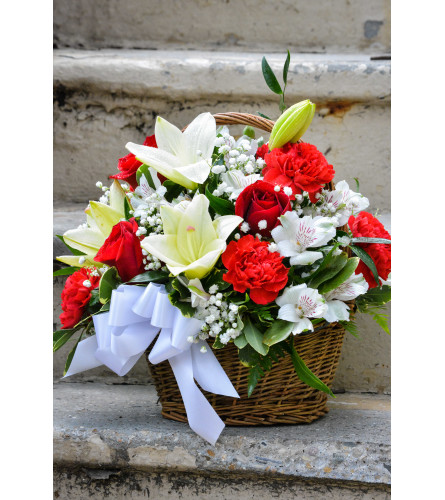 Red and White Basket