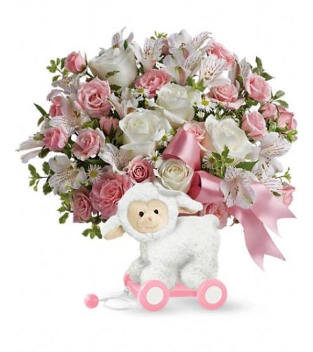 Teleflora's Sweet Little Lamb - Pink