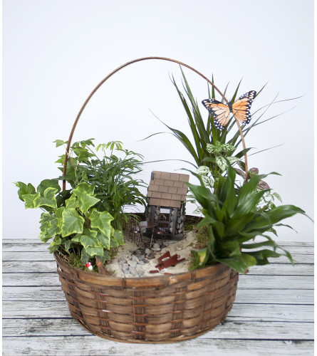 Garden Setting Fairy Garden