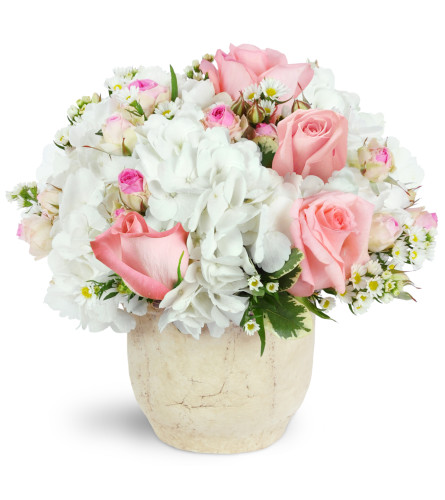 Graceful Embrace - Send Flowers to St. Catharines, ON Today!