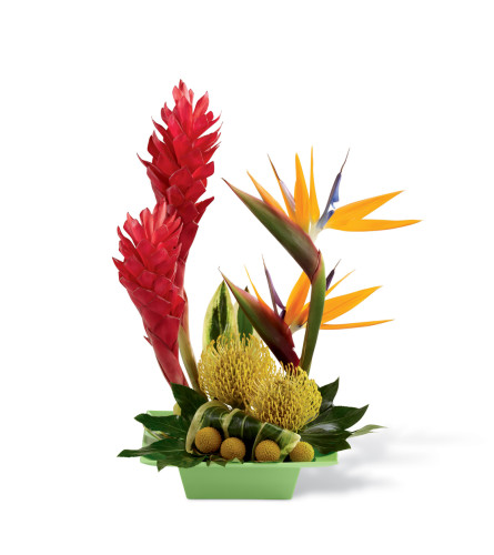 The FTD® Exotica™ Arrangement