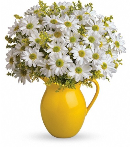 Teleflora's Sunny Day Pitcher of Daisies