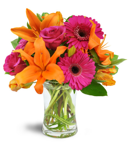 Vibrant Shine Send Flowers to Atkinson NH Today