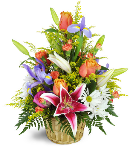 Stargazer Blessings Basket™