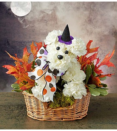 Witchy Pooch™ 1-800