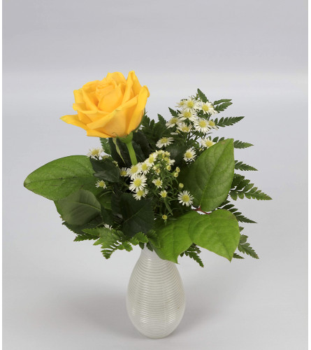 Delicate Rose