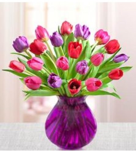 Tulips for Your Valentine - Deluxe