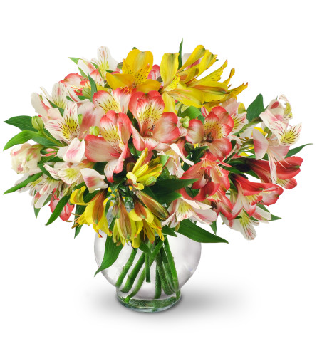 Perfect Peruvian Lilies