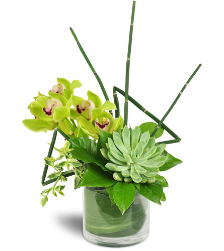 Stately Succulent Bouquet™