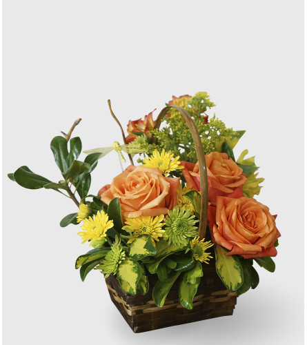 Basket of Wonder