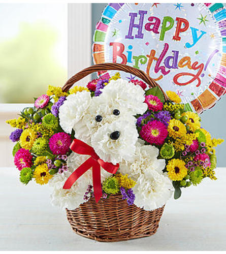 a-DOG-able® in a Basket - Birthday