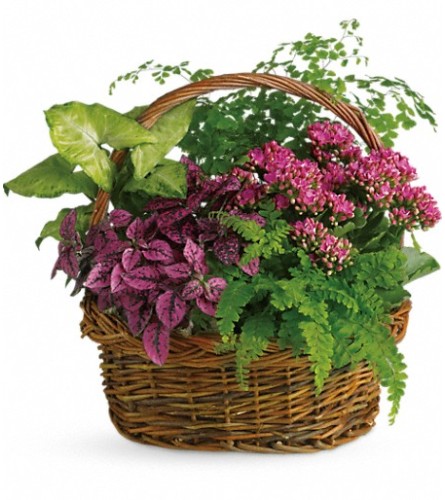 Secret Garden Basket