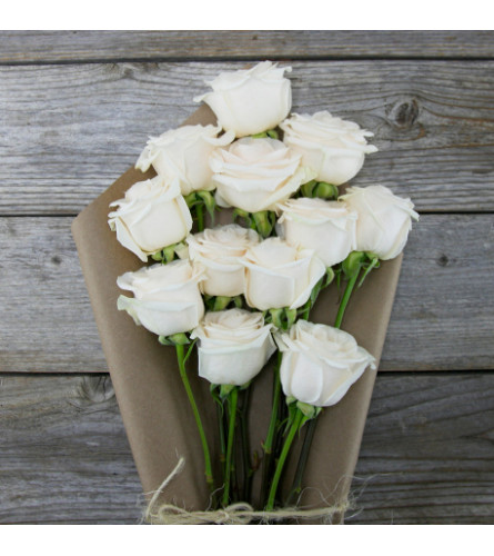 White Bouquet