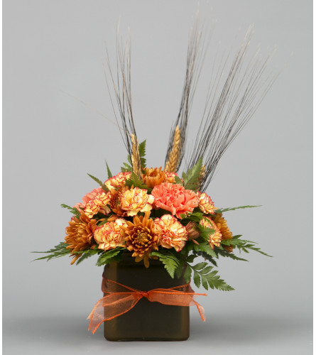 Warm Expressions of Fall