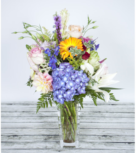 Filed of Blooms