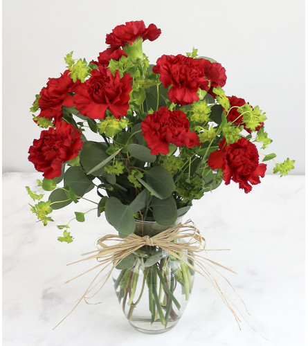 Classic Red Carnation Arrangement Bethpage Ny Florist