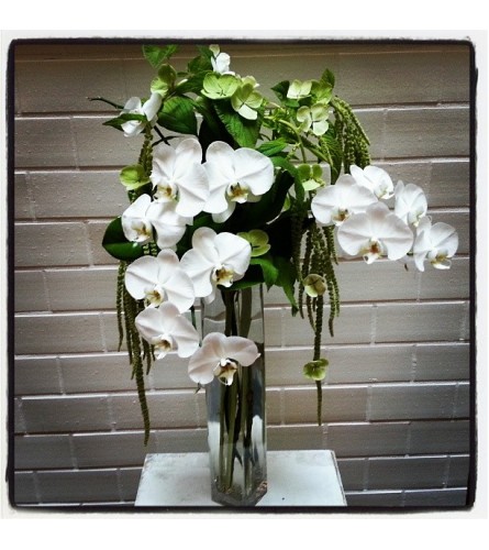 Orchid Flourish