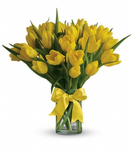 Sunny Yellow Tulips