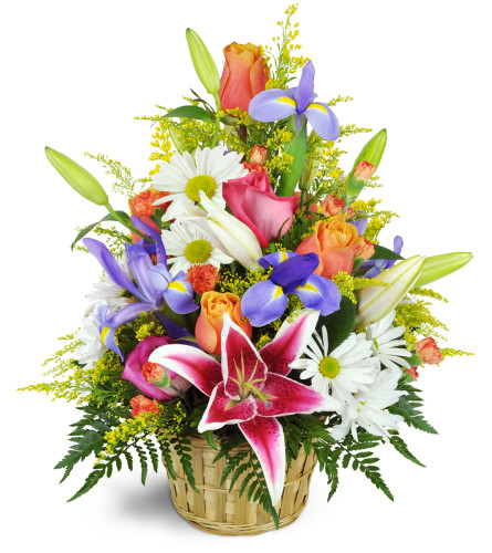 Stargazer Blessings Basket™ - Send to Greensboro, NC Today!