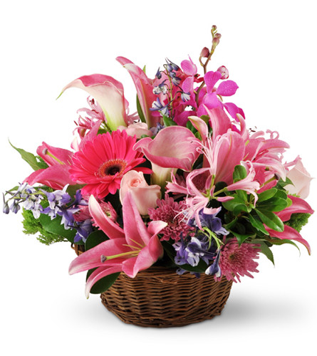 Flowers Near Syracuse Ny | Best Flower Site