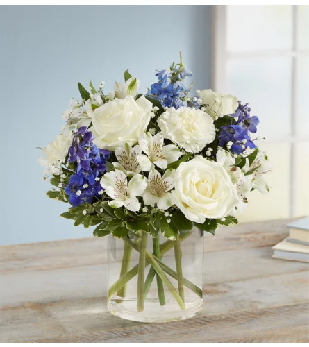 Loving Sentiments™ Blue & White