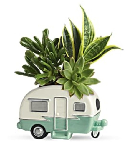 Cool Camper Succulent Garden