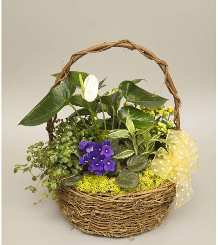 Large Plant Garden Basket