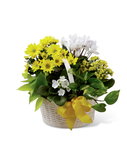 The FTD® A Bit of Sunshine™ Basket