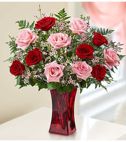 Shades of Pink and Red - 12 roses