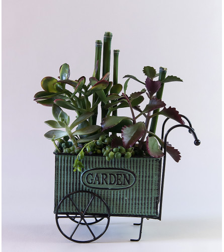 Succulent Garden Cart