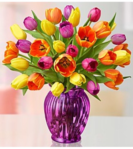 Tulips Assorted