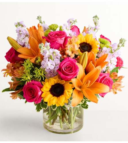 Floral Embrace™ XL. An arrangement by Sicola's Florist.