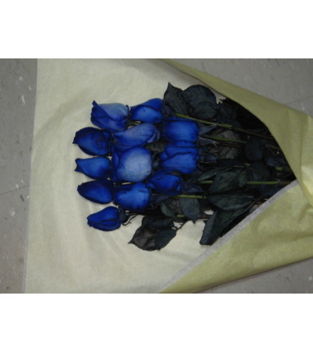 Enigmatic Blue Roses