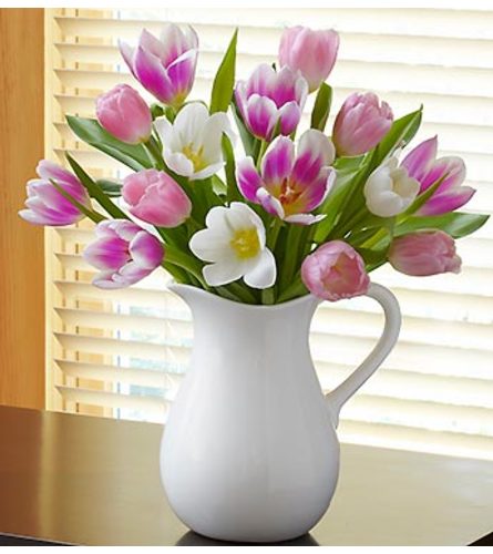 Pitcher Full of Tulips